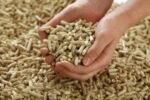 Lose Holzpellets (ENplus A1) – Für Privatkunden & Großabnehmer - Image 3